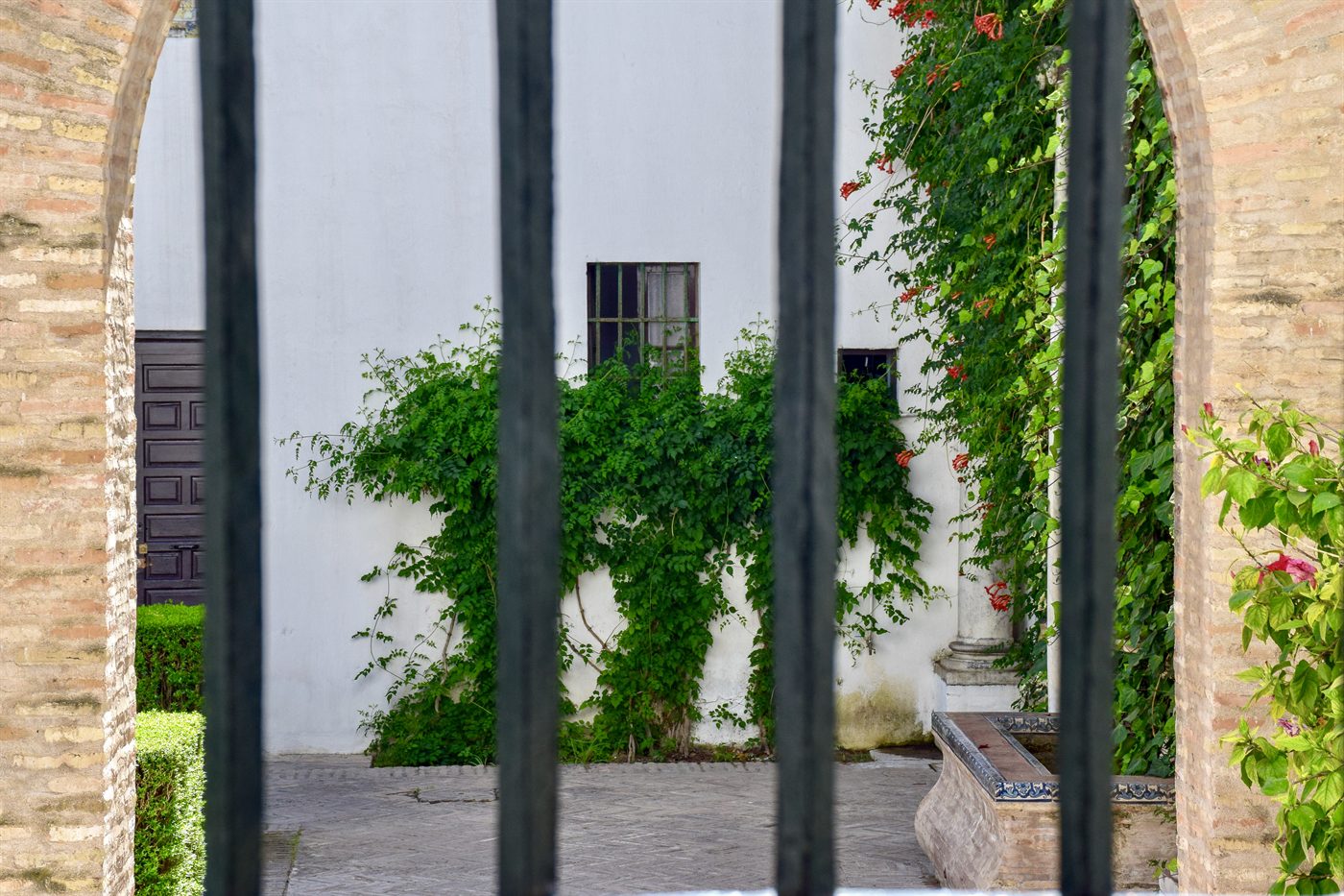 DSC 0142